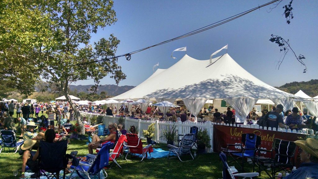 Large white peak tent over a festival lawn, with guests in lawn chairs in the shade of a sycamore in front