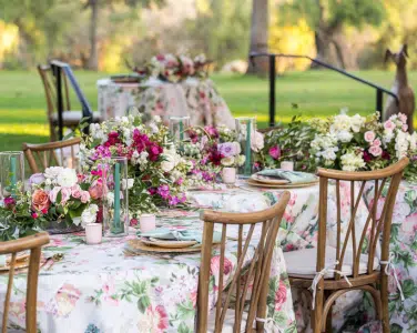 chair_and_wedding_rental_somis