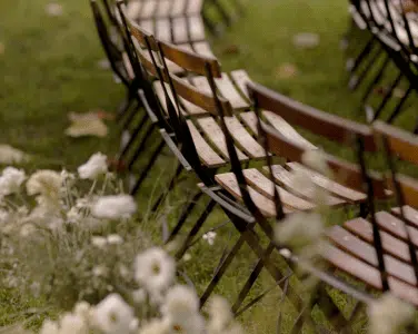 chair_rentals_tuscan_taft_gardens