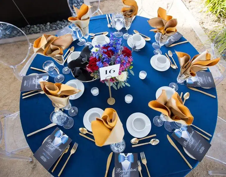 benefactor ball event