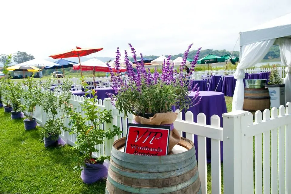 festival party rental