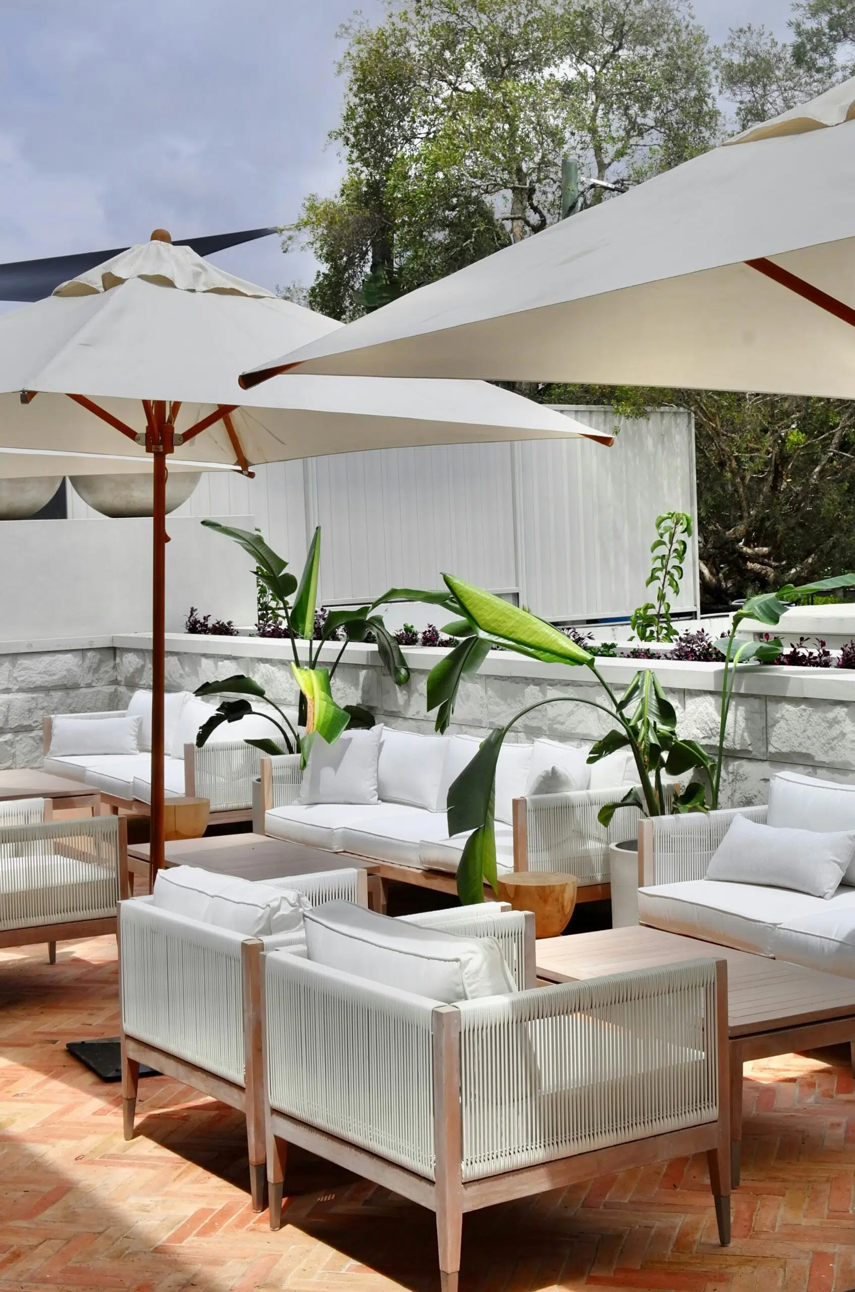 outdoor umbrellas 