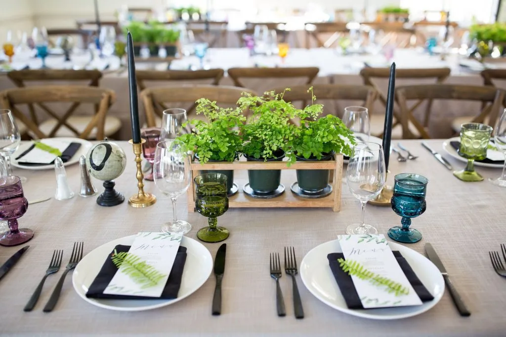 well-designed table with plants