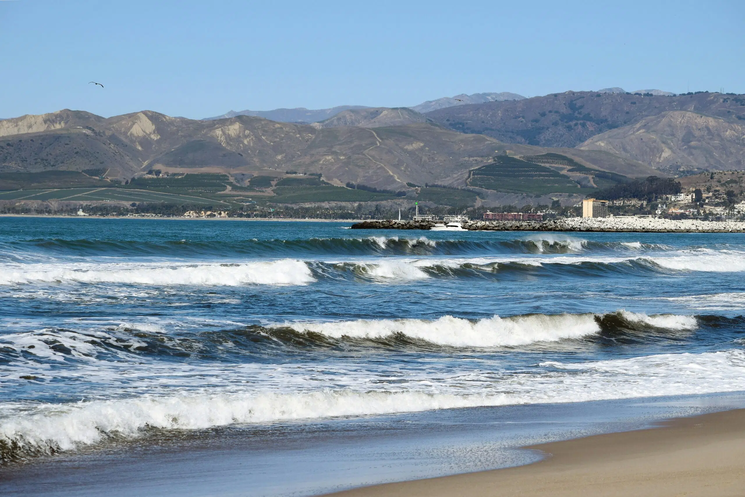 a beach with mountain views in Ventura 