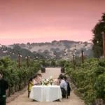 Outdoor dining setup in a vineyard at sunset.